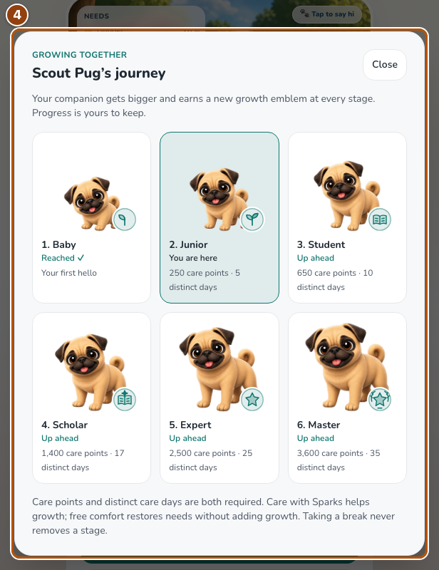 The six-stage growth journey with earned stages and future requirements.